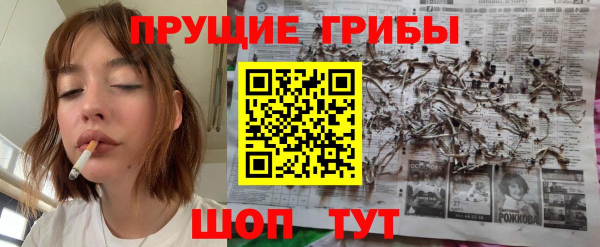 где можно купить   Галлюциногенные грибы прущие грибы  Вход с VPN  Новокубанск 